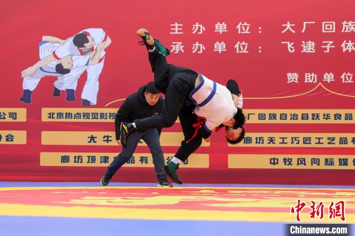 京津冀协同发展杯中国式摔跤赛点燃春节活力 传